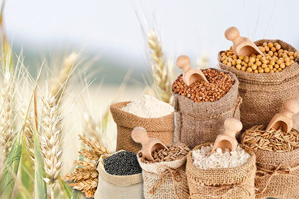 Доверьте хранение зерна, зернобобовых и семян нам!